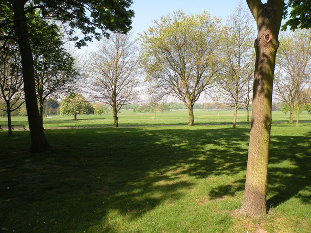  vaste étendue de pré, Regent's park